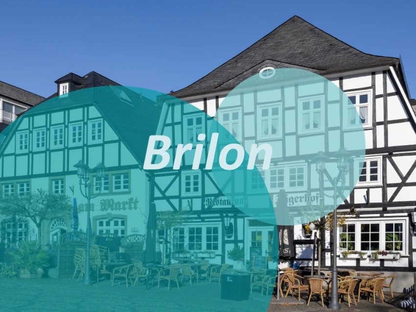 Tattooentfernung Laser Brilon