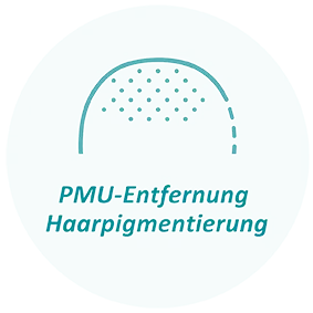 PMU Entfernung Haarpigmentierung Icon